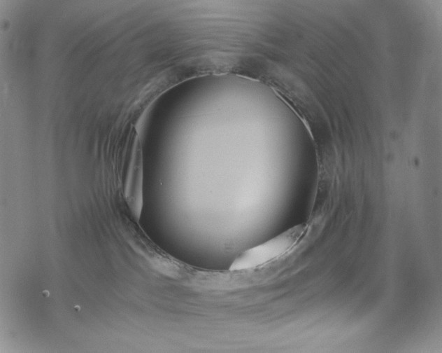 X0000075810045200609221319