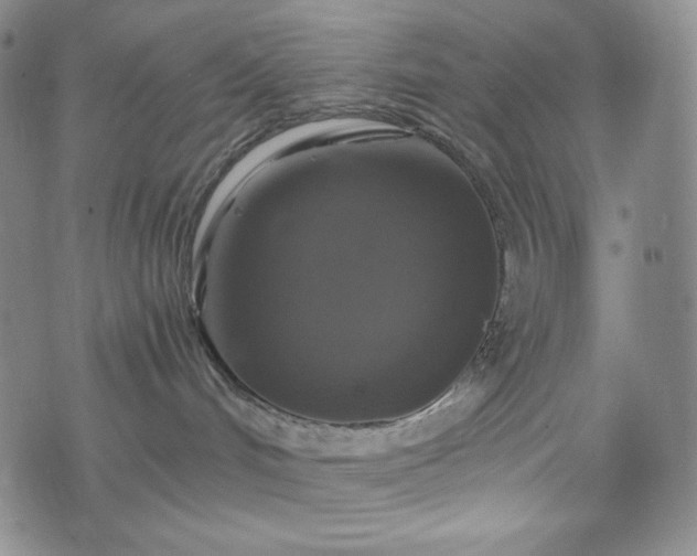 X0000075810048200609221319