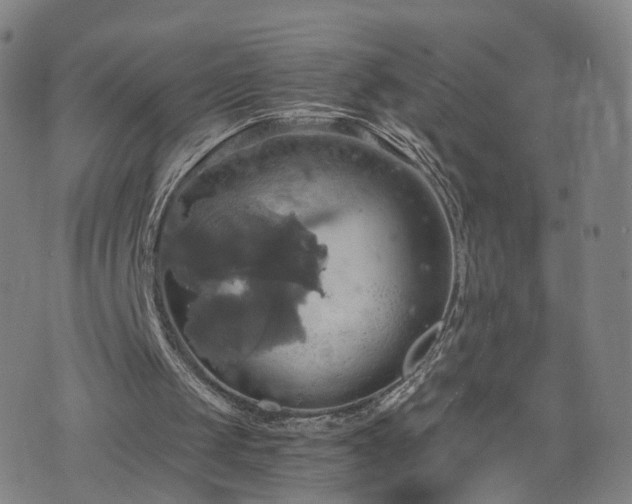 X0000075810049200609221319