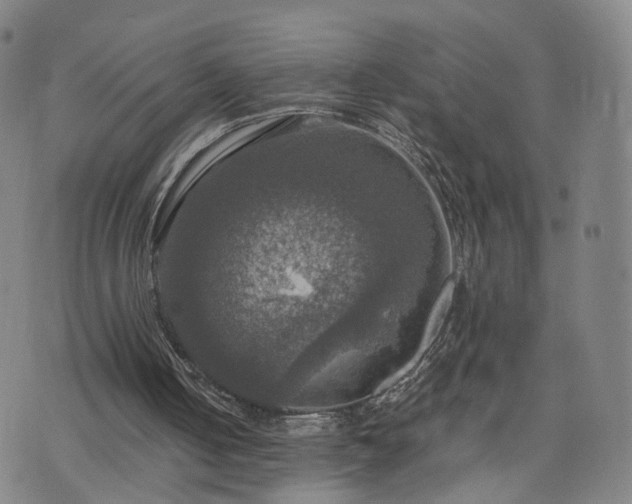 X0000075810050200609221319