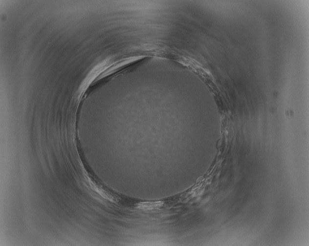 X0000075810051200609221319