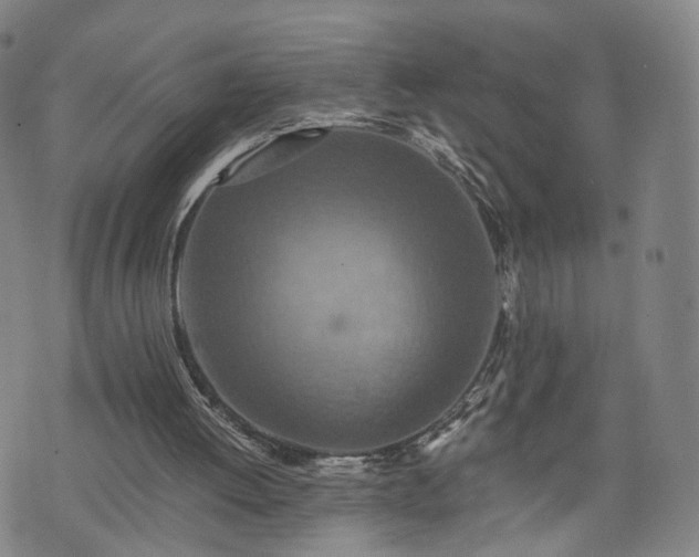 X0000075810052200609221319