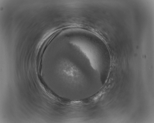 X0000075810055200609221319