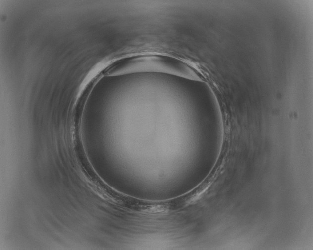 X0000075810056200609221319