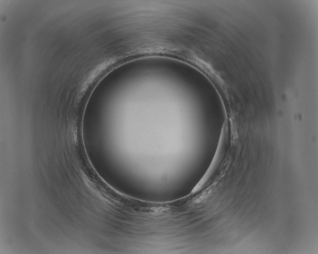 X0000075810060200609221319