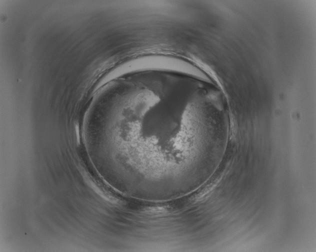 X0000075810061200609221319