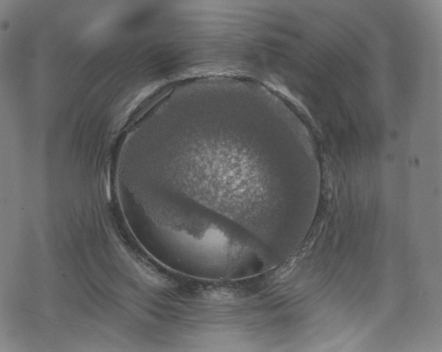 X0000075810062200609221319