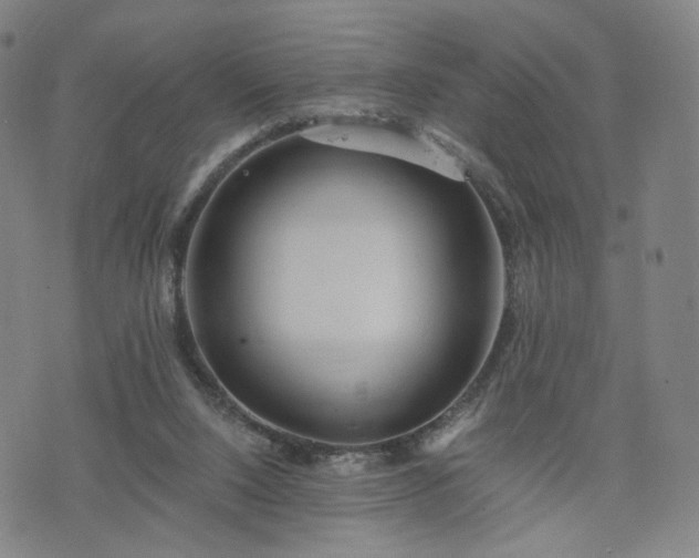 X0000075810064200609221319