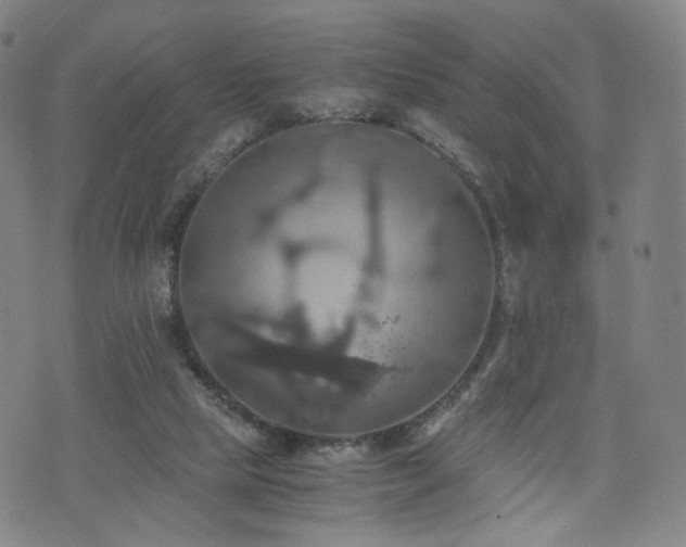 X0000075810065200609221319