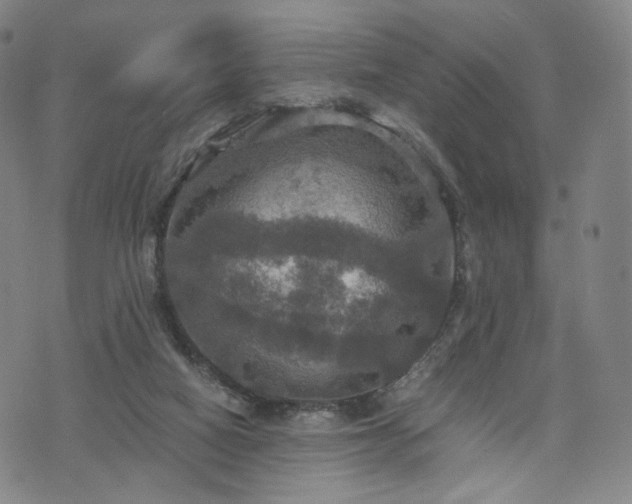 X0000075810066200609221319