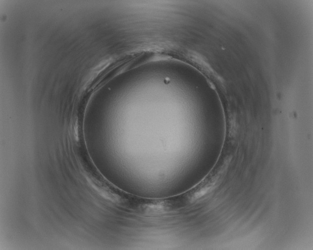 X0000075810068200609221319