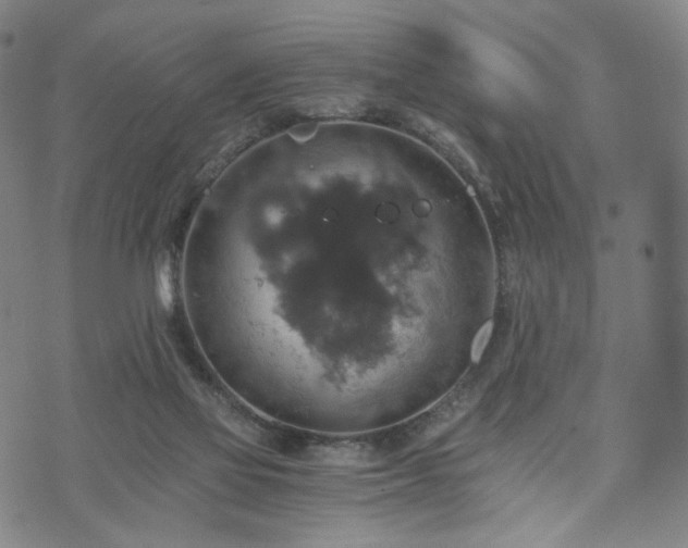 X0000075810069200609221319