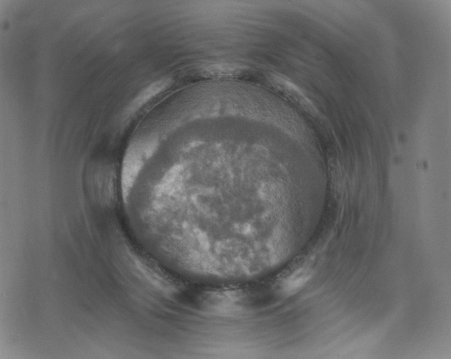 X0000075810071200609221319