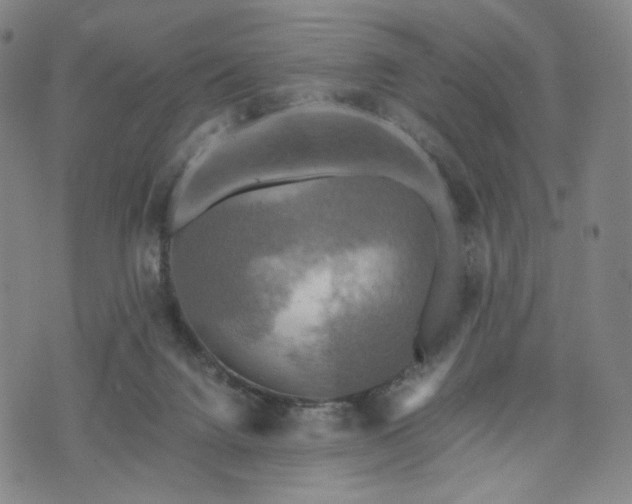 X0000075810072200609221319