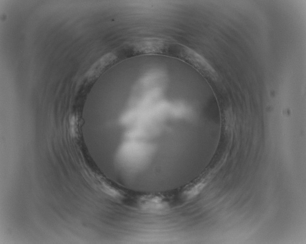 X0000075810073200609221319