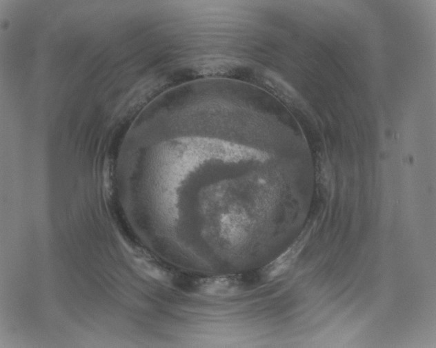 X0000075810074200609221319