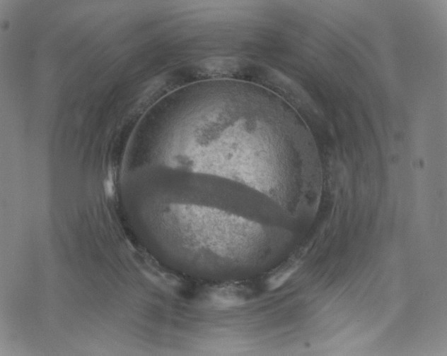 X0000075810075200609221319