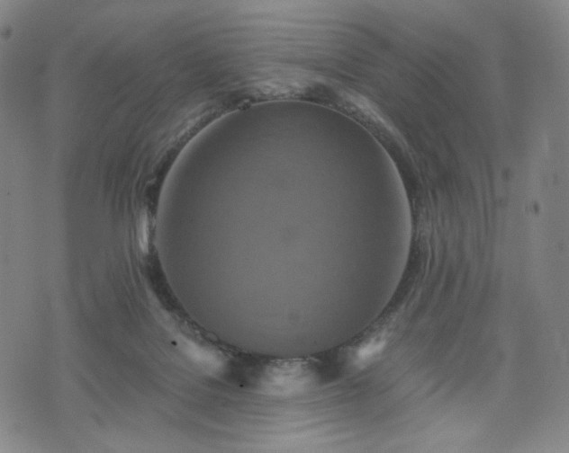 X0000075810076200609221319