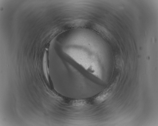 X0000075810077200609221319