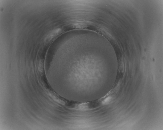 X0000075810078200609221319