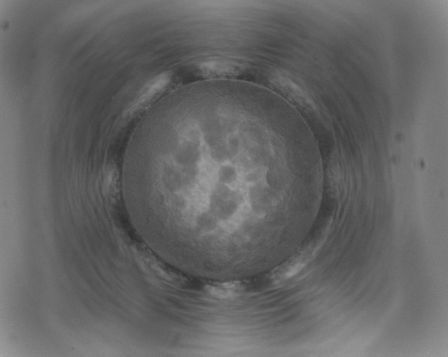 X0000075810079200609221319