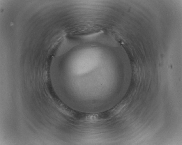 X0000075810080200609221319