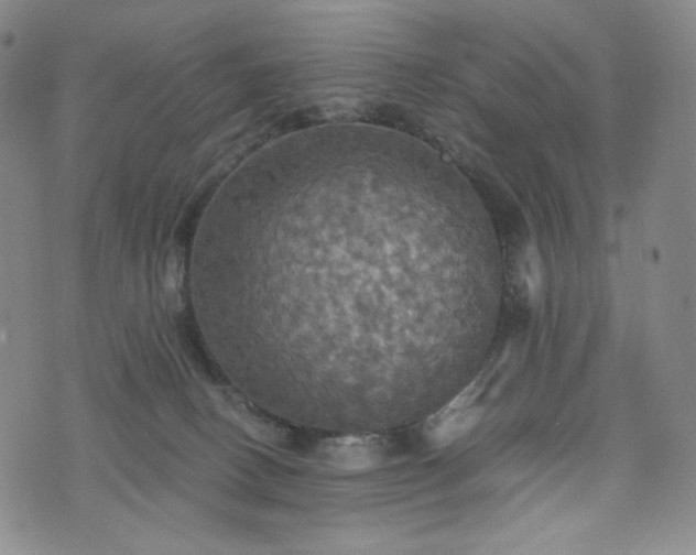 X0000075810082200609221319