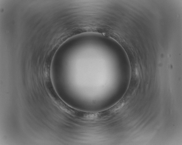 X0000075810084200609221319