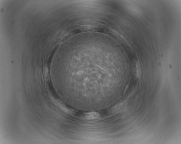 X0000075810087200609221319