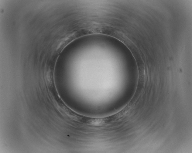 X0000075810088200609221319