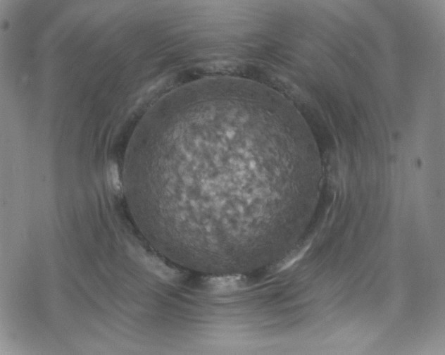 X0000075810089200609221319