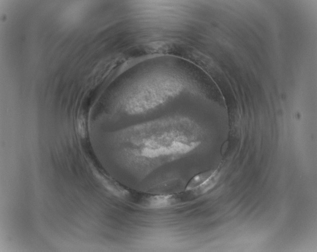 X0000075810090200609221319