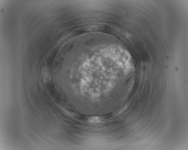 X0000075810091200609221319