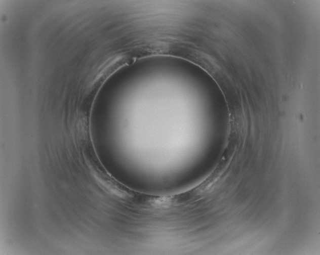 X0000075810092200609221319