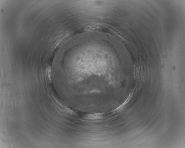 X0000075810094200609221319