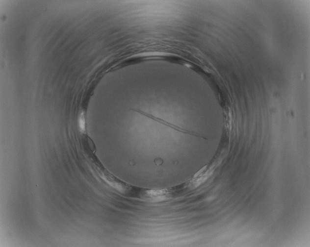 X0000075810095200609221319