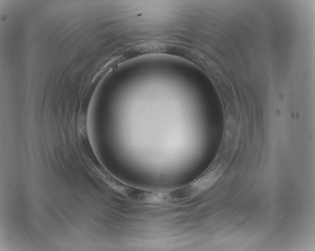 X0000075810096200609221319