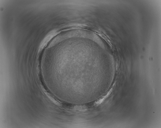 X0000075810101200609221318