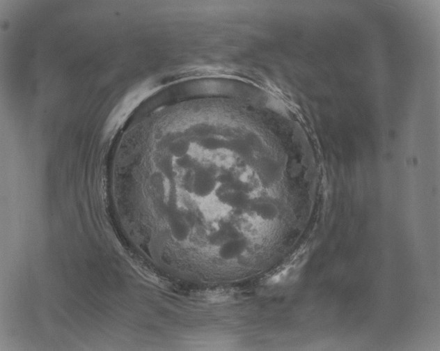 X0000075810103200609221318