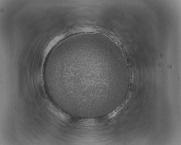 X0000075810104200609221318