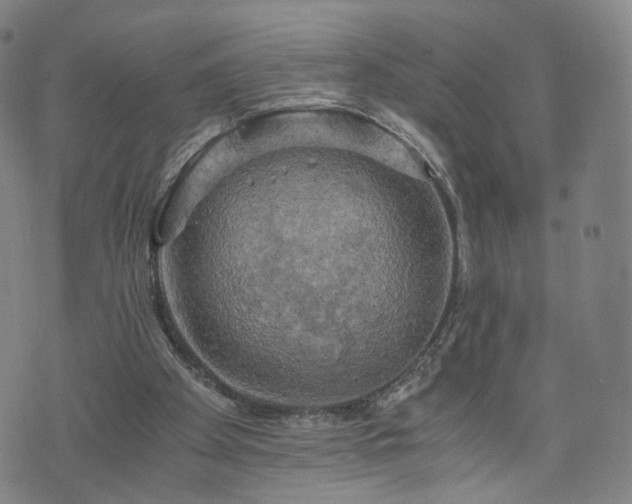 X0000075810105200609221318