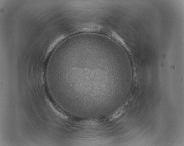 X0000075810106200609221318