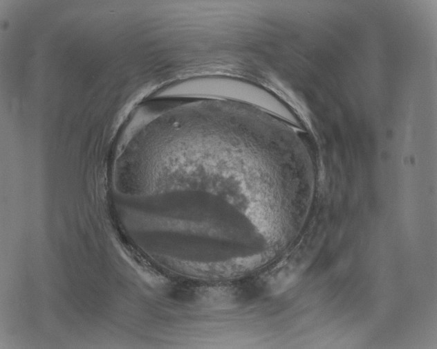 X0000075810107200609221318