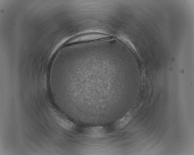 X0000075810108200609221318