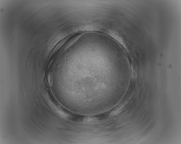 X0000075810109200609221318