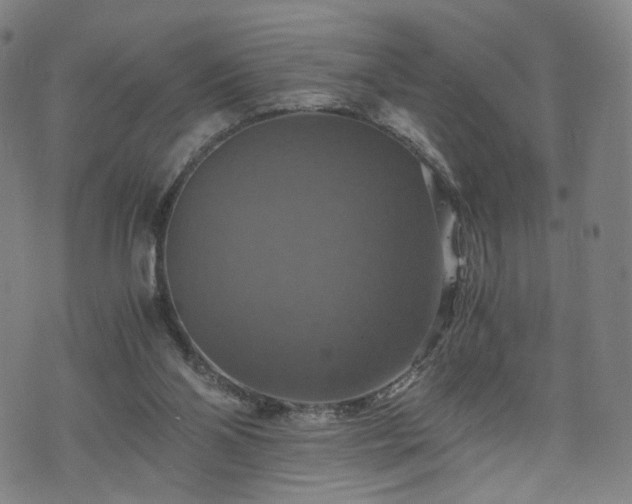 X0000075810110200609221318