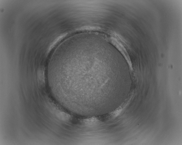 X0000075810112200609221318