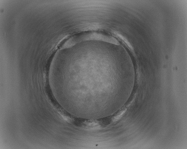 X0000075810113200609221318