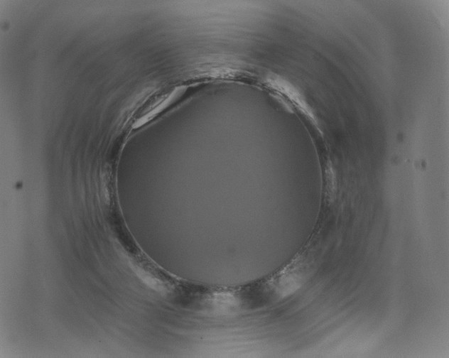 X0000075810114200609221318