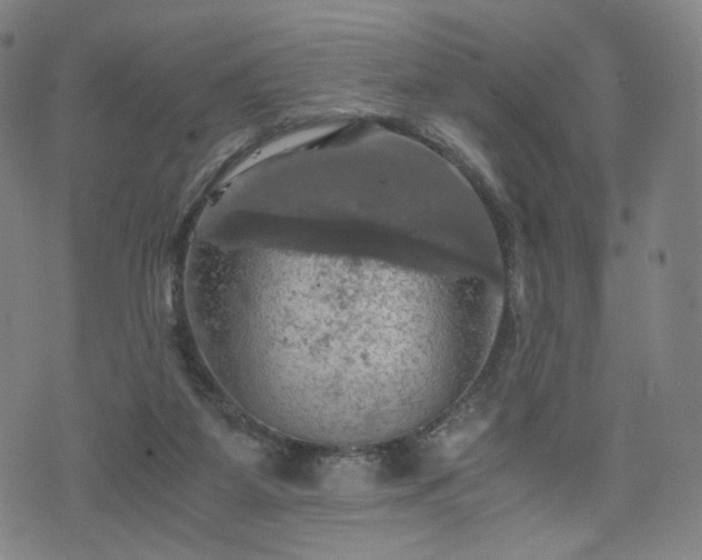 X0000075810115200609221318